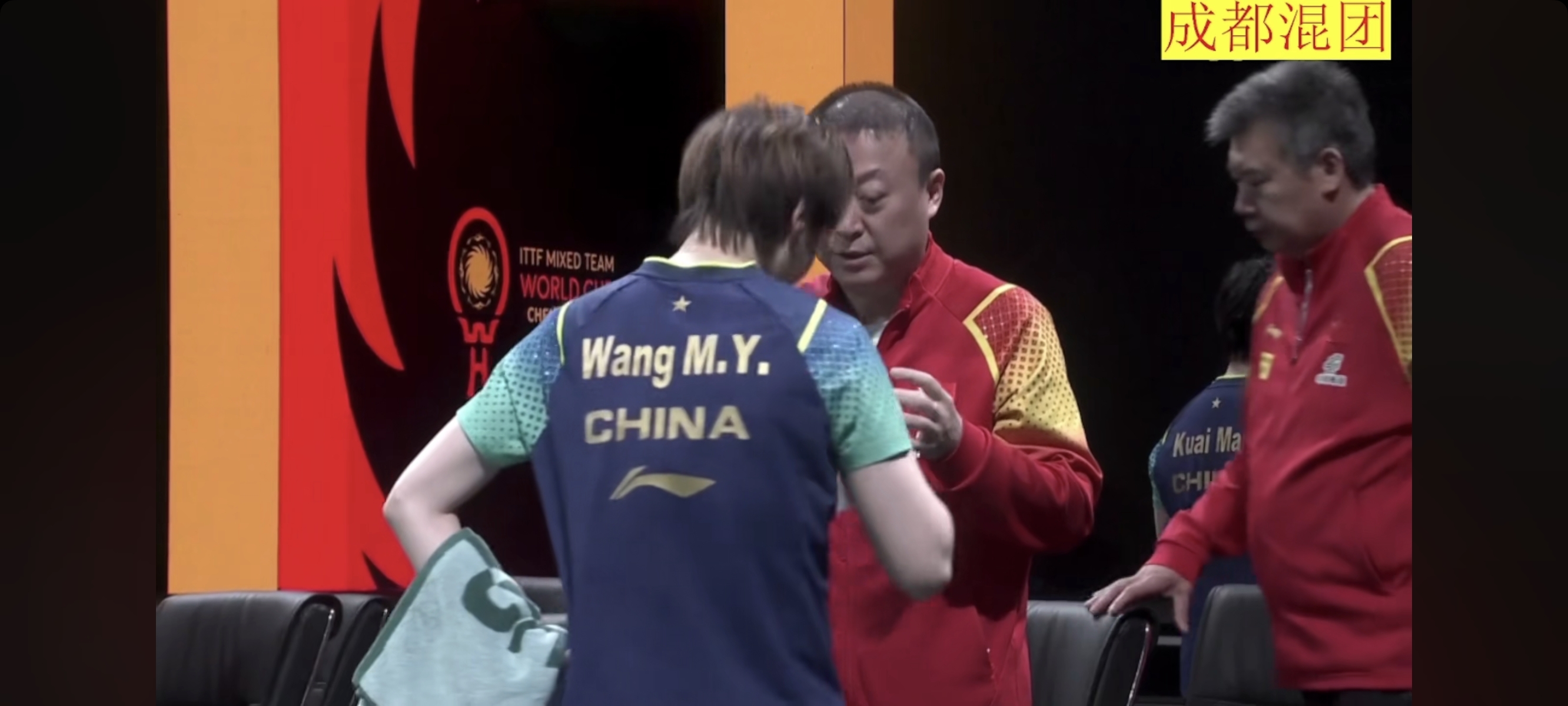 法国队横扫中国队，马琳扛起全队