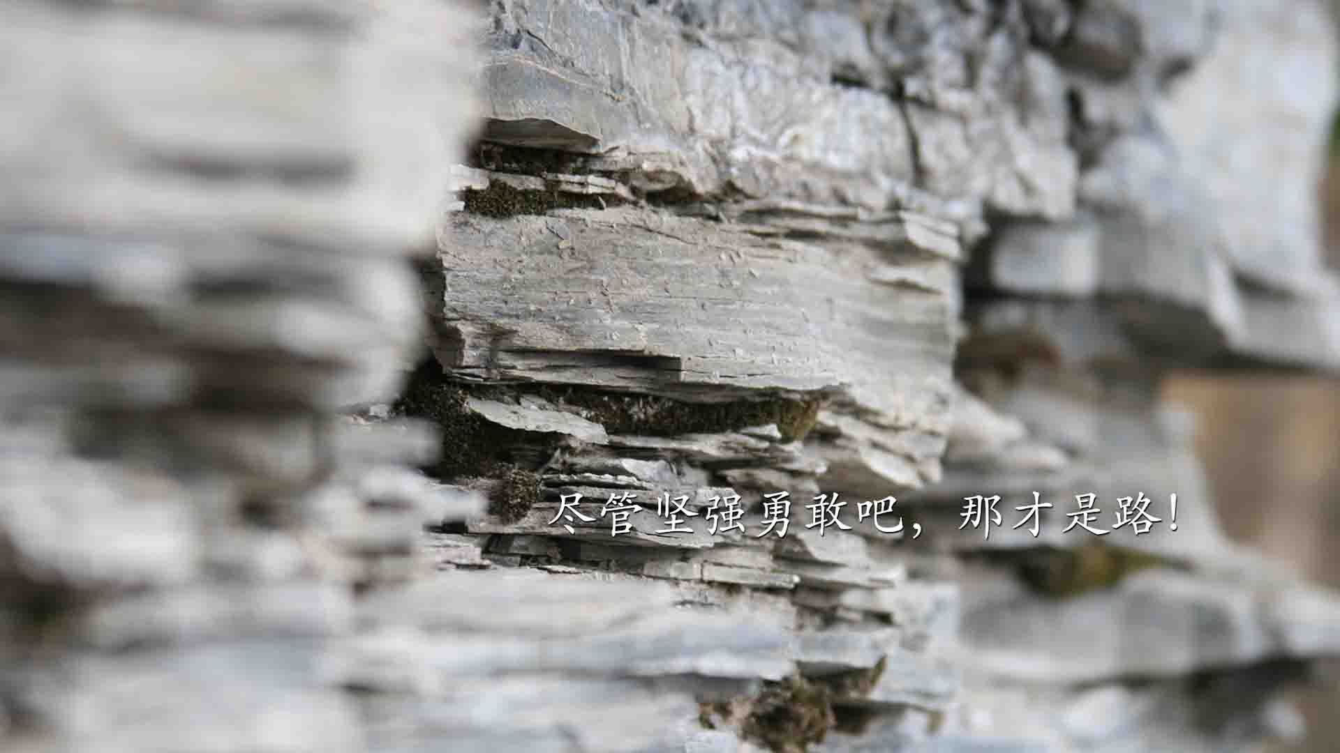 神锋降临！拉齐奥主场恶斗里昂，莱万式数据引爆全场