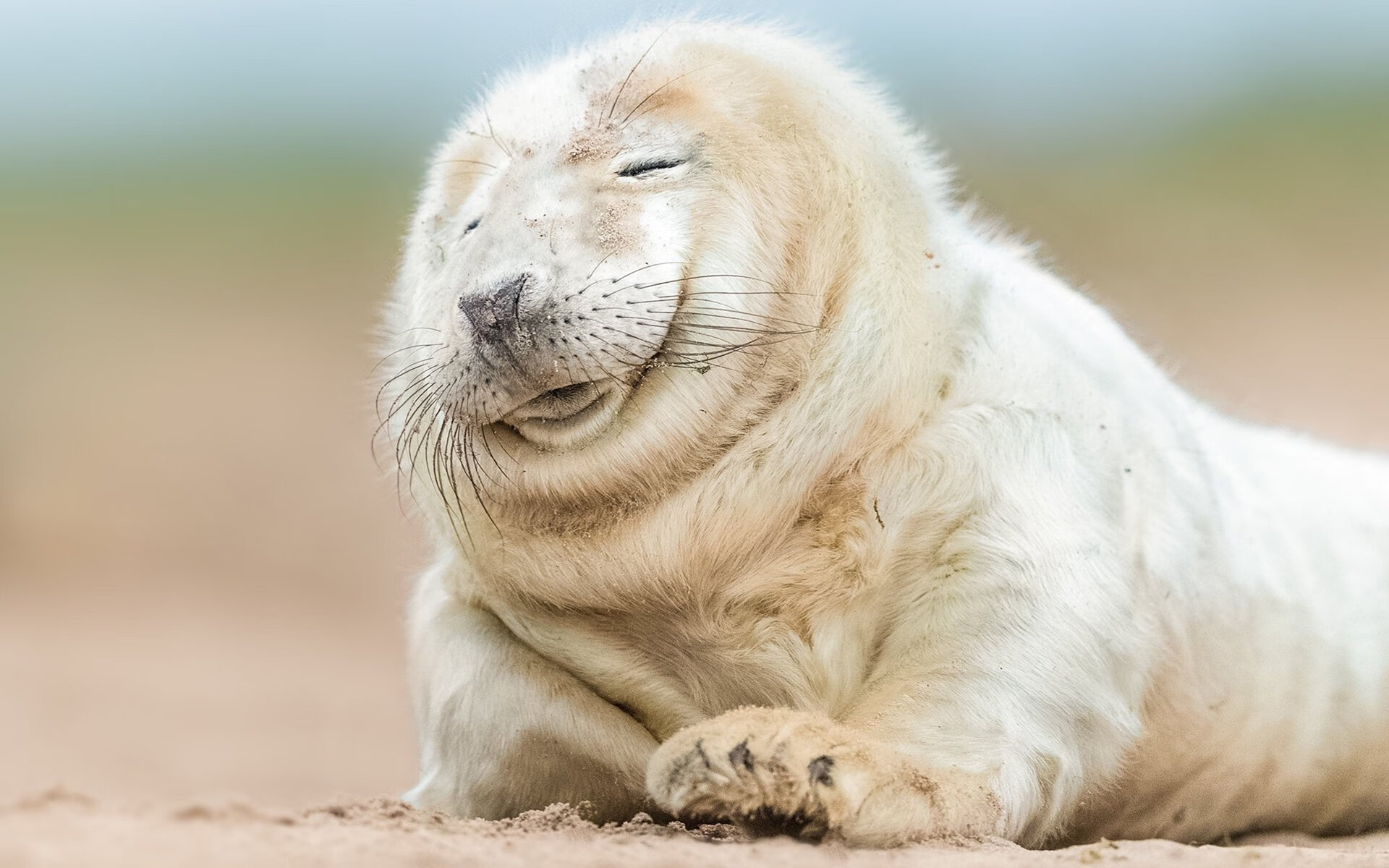 隐形的棋手，勇士速胜独行侠之夜，詹姆斯的意志如何主宰比赛走向