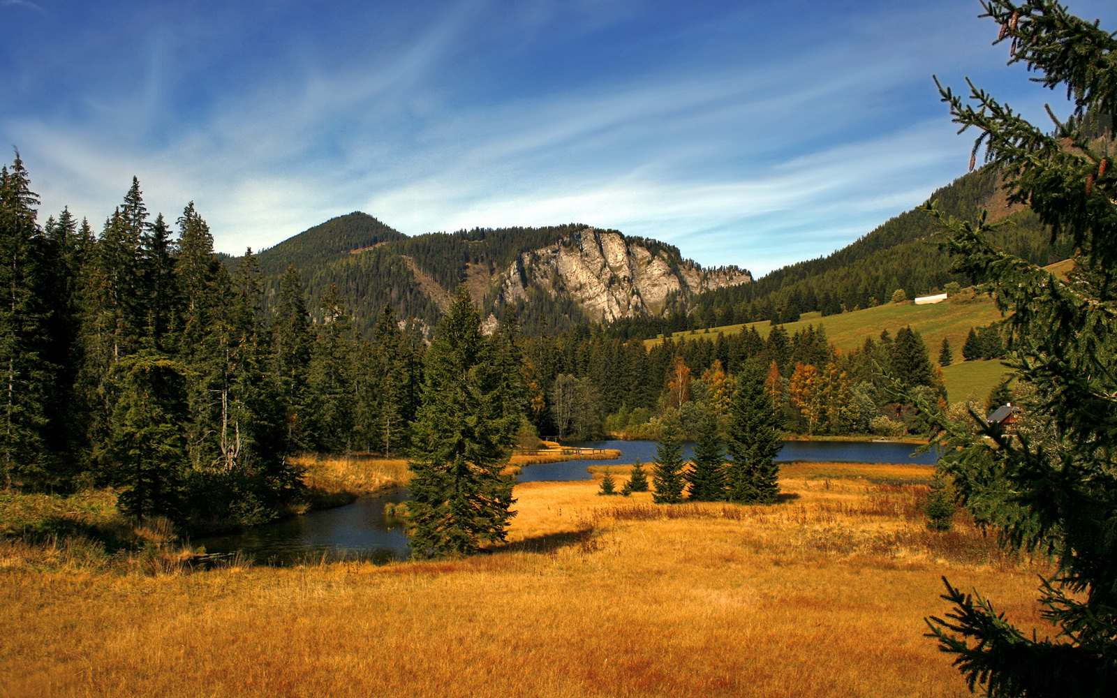 节奏掌控与关键先生，委内瑞拉胜尼日利亚，京多安闪耀