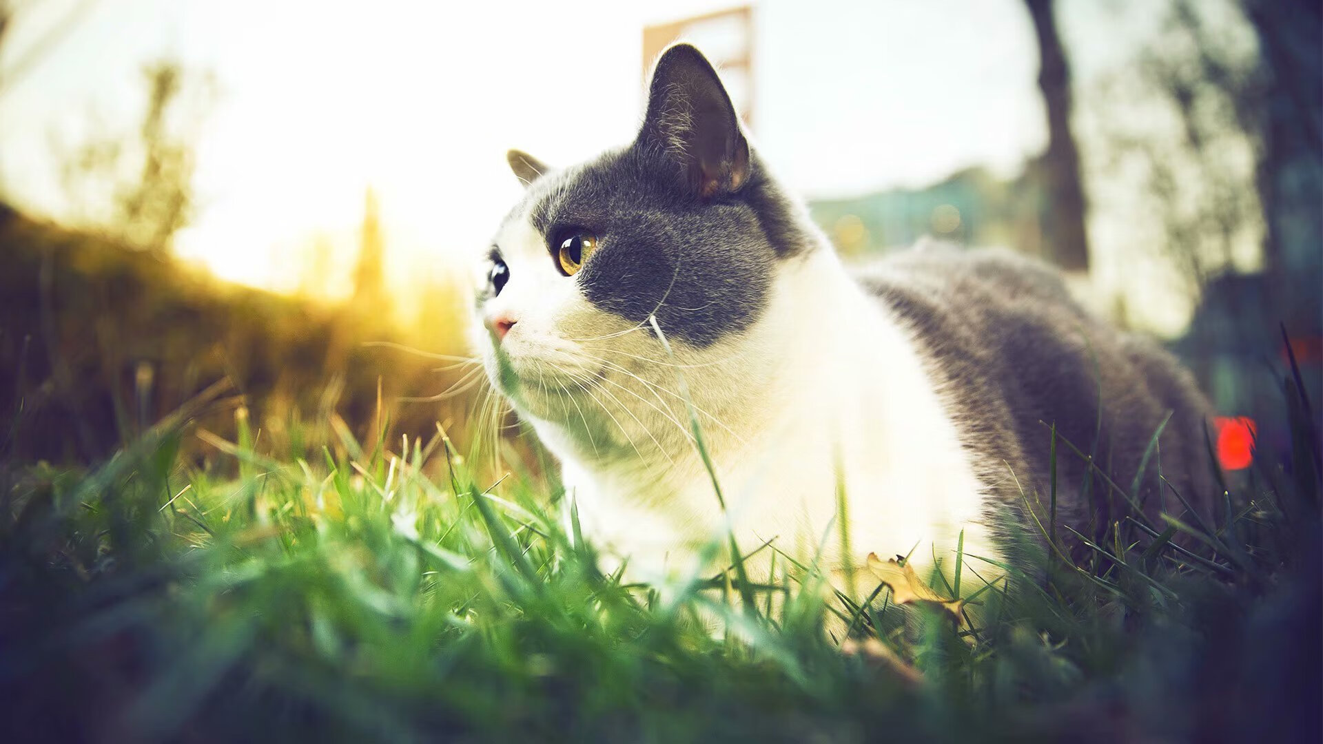 决胜时刻，当平凡英雄成为比赛主宰