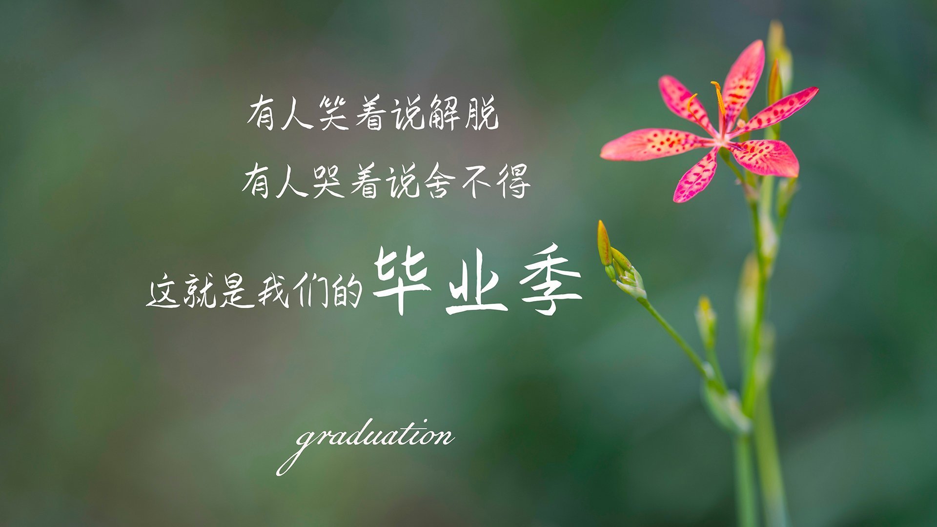 世俱杯赛程-奇迹之夜，新西兰掀翻足坛巨人，努涅斯独造三球主宰诺坎普