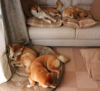 巴尔韦德一锤定音，蓝军铁血逆转亚特兰大强势晋级