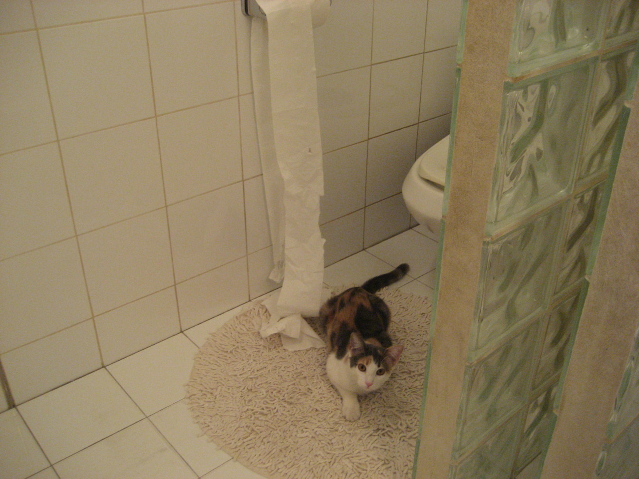 奥运周期关键战之夜，卡拉斯科进攻端无人可挡