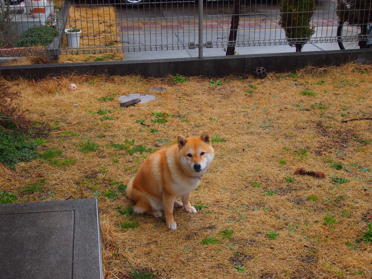 跨洋对决！快船东决战力全开，深圳队虽败犹荣