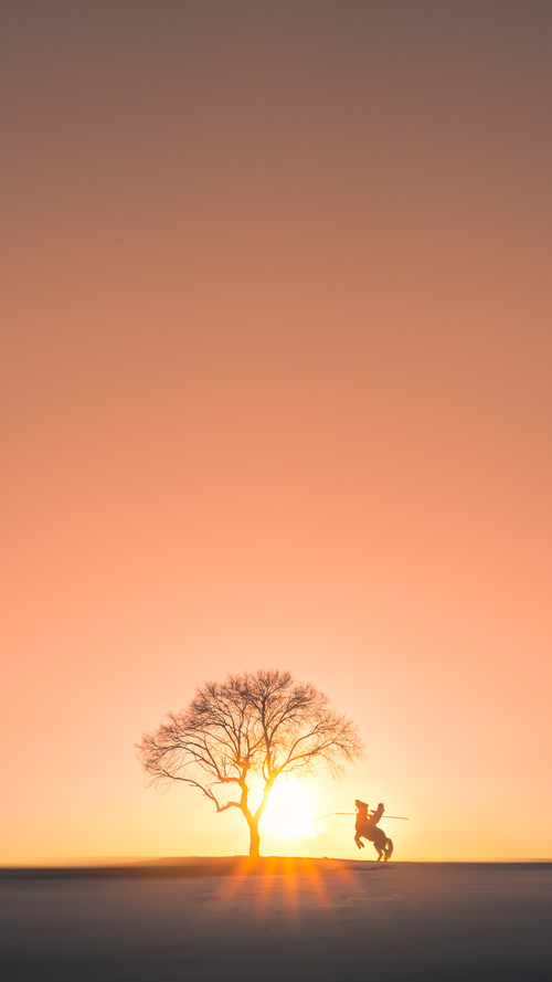 世俱杯分组-字母哥里程碑与北京队大捷，在篮球的全球化幕布上，一场东方与西方的共鸣