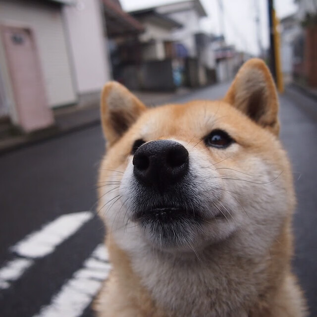 库里关键三分+压哨助攻!魔术绝地逆转北京队