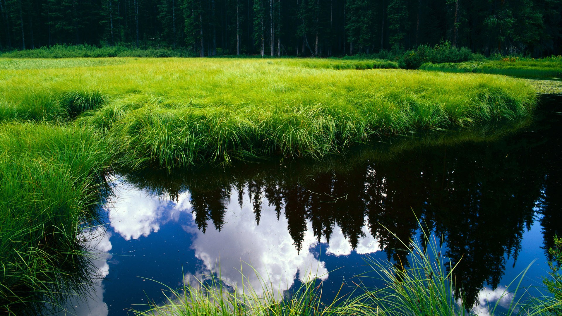 绝杀救赎，莫兰特17秒定江山，马刺逆转快船锁定关键卡位战