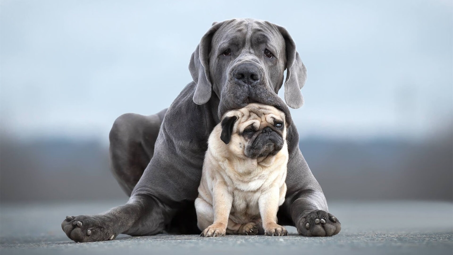 现代足球战术博弈，从德甲铁血压制到意甲艺术家的觉醒