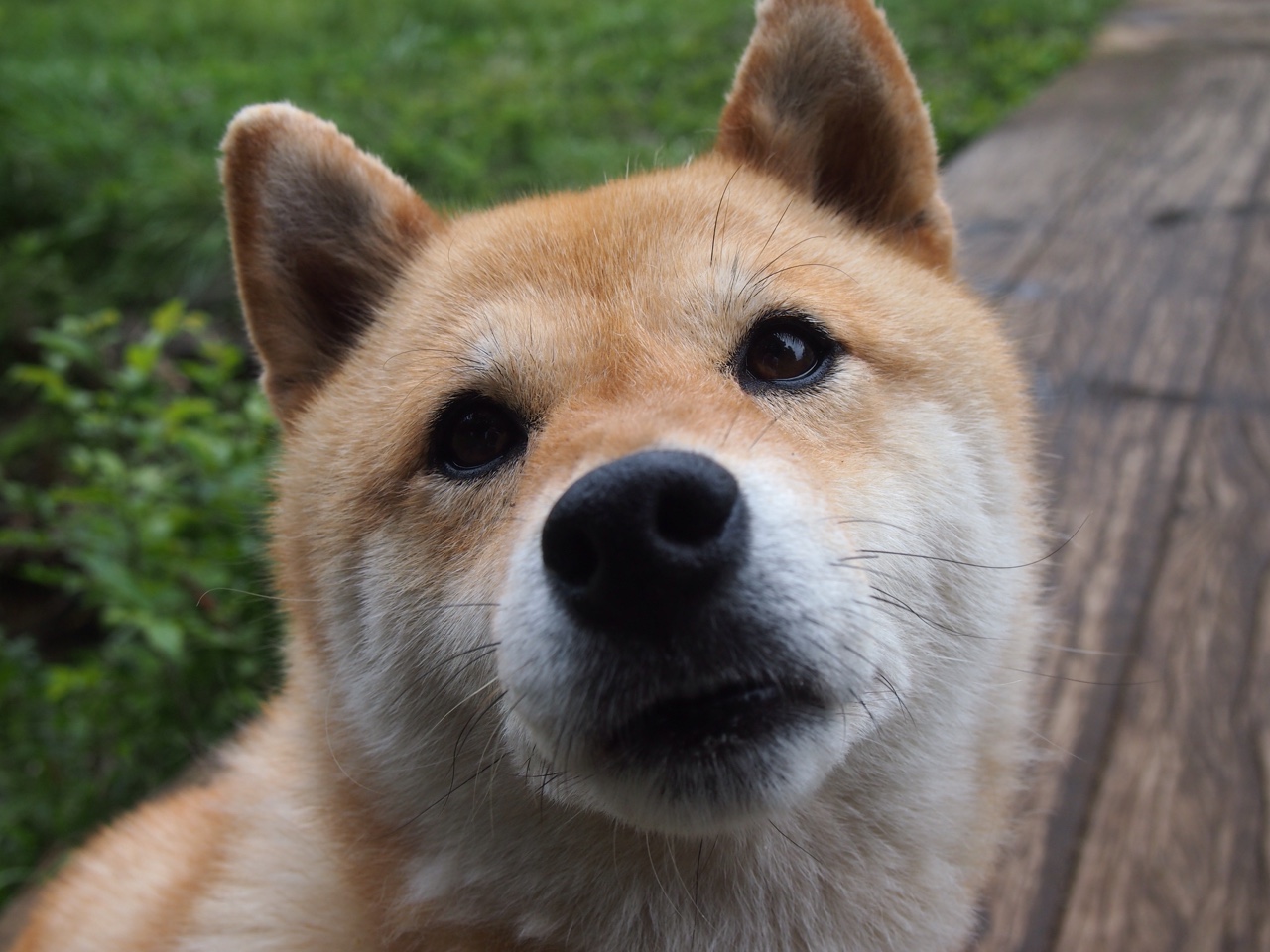 掌控战局！库里领袖风采与独行侠的坚韧胜利