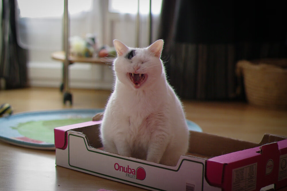 欧冠淘汰赛之夜，孔德用实力书写属于自己的篇章