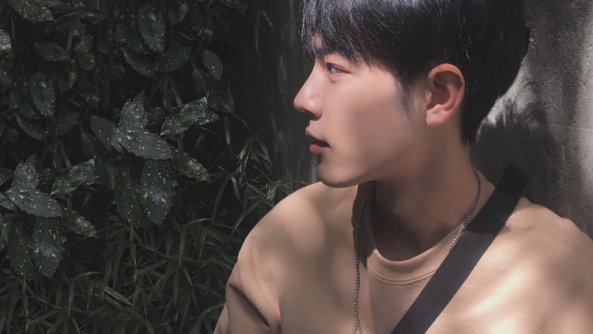 凯尔特人战术全面压制浙江队,马克西化身关键先生定乾坤