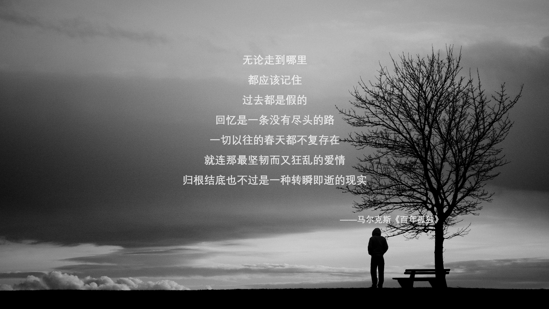 节奏大师文班亚马,一场比赛如何重新定义开拓者vs尼克斯的胜负天平