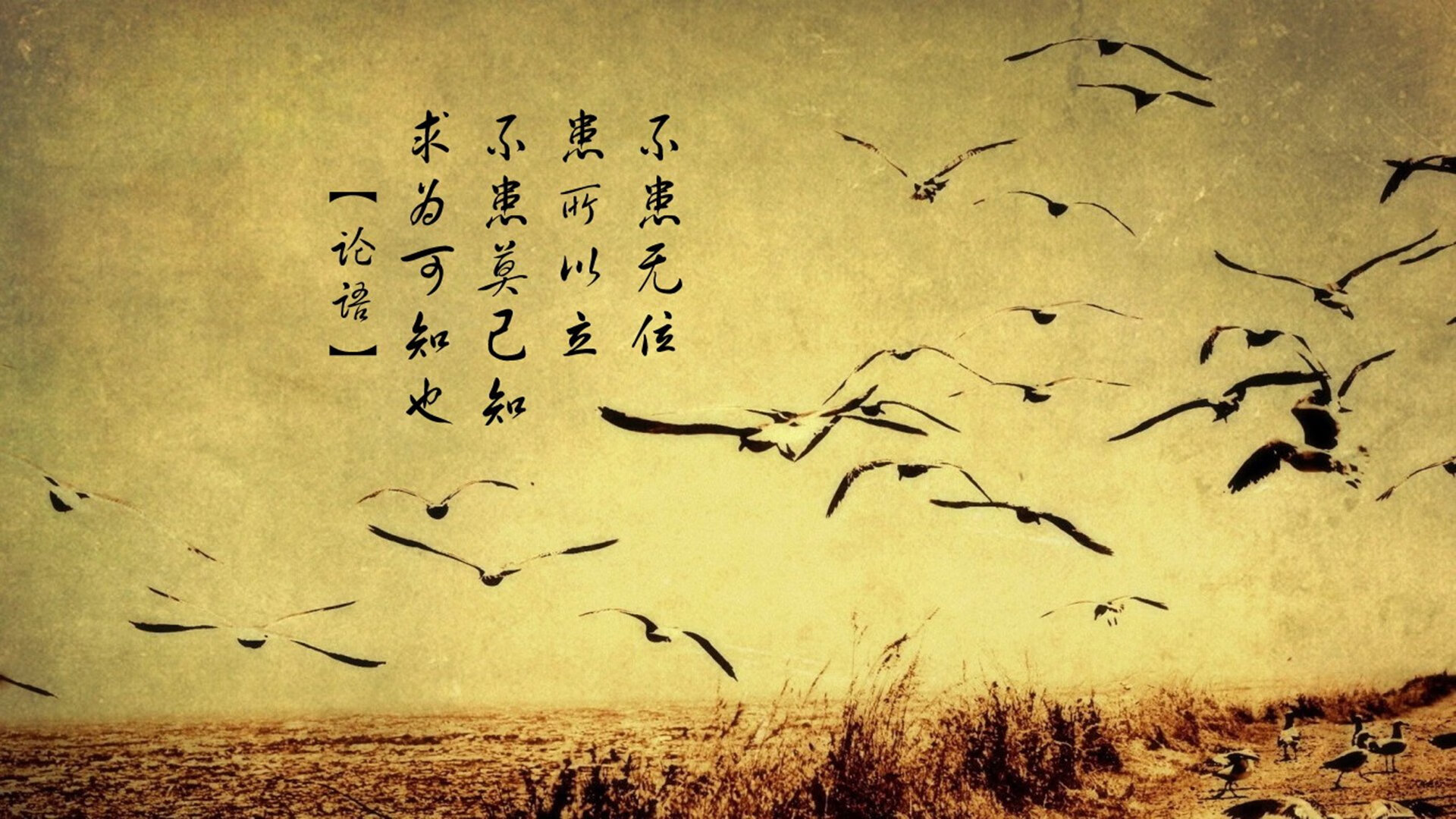 挪威风暴席卷圣马梅斯，阿劳霍铁壁防守扼杀毕尔巴鄂攻势