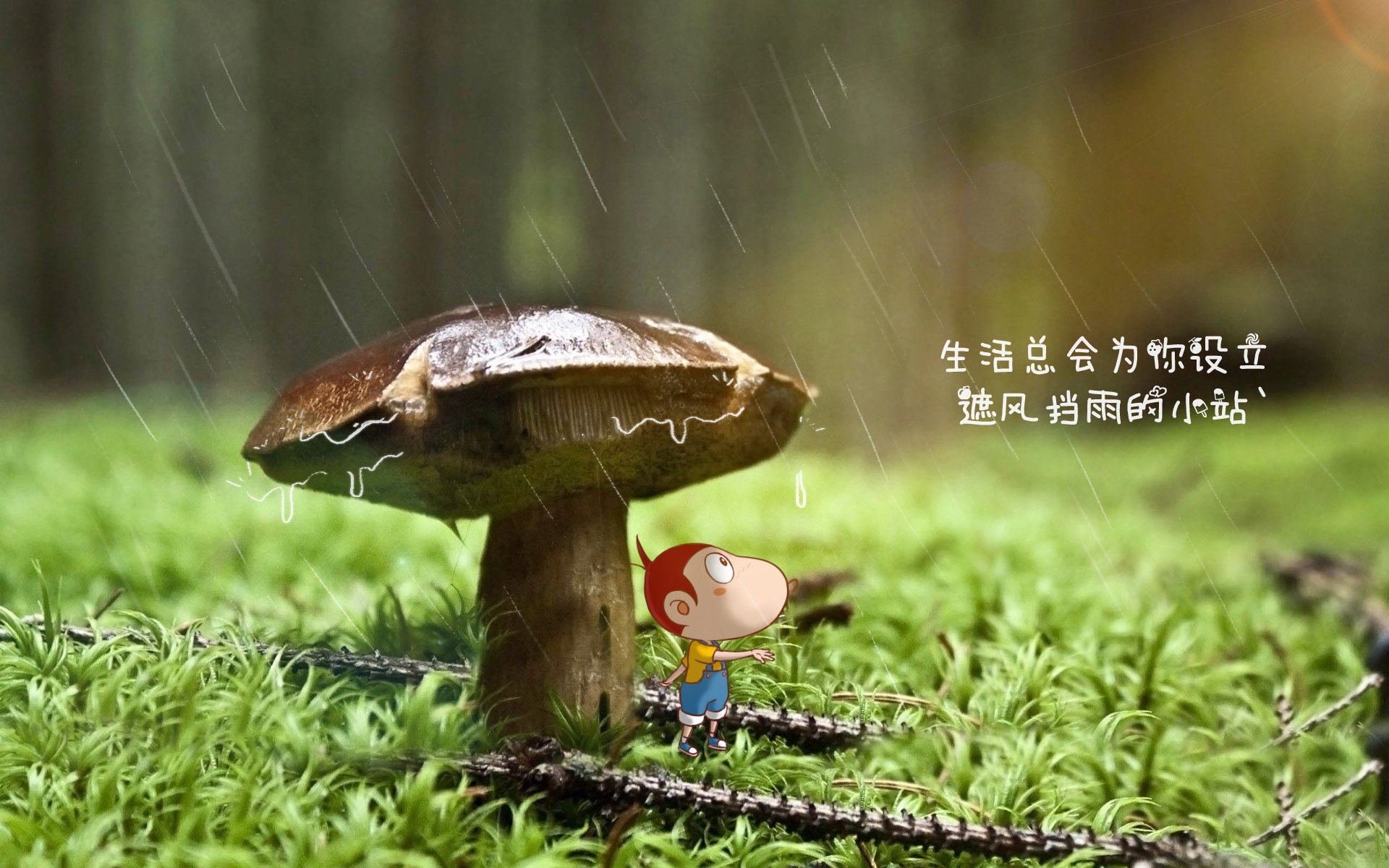 西亚卡姆一手掌控比赛走势，猛龙主场力克森林狼显王者风范
