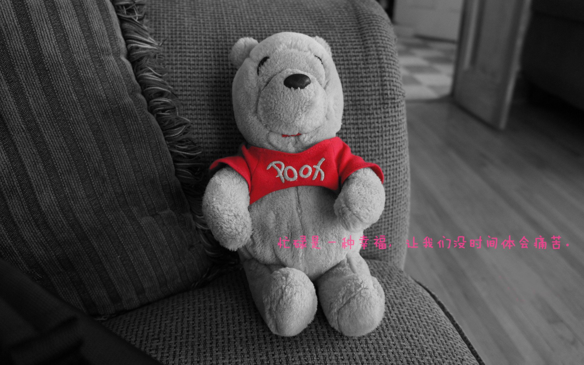 草根之殇与神祇之力，鹈鹕的铁血洪流，库里那记改变世界的投篮