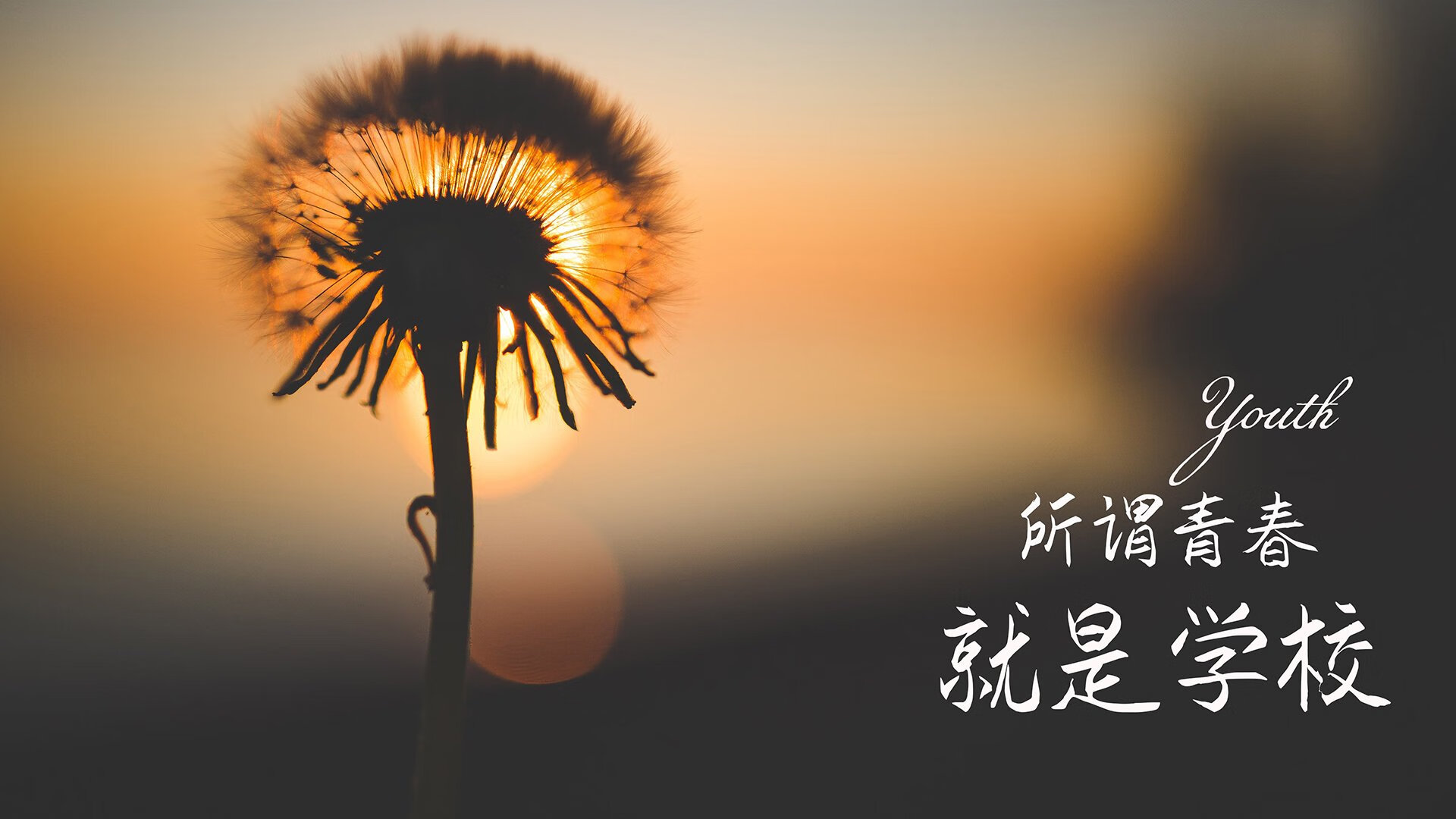 世俱杯直播-欧冠之夜，坎特锁死对手防线，智利孤胆英雄加时绝杀贝蒂斯