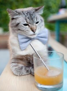 世俱杯奖金-美加墨世界杯焦点战，威尔士「红龙」如何一波带走「蓝狮」切尔西？